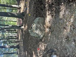 Afro-Indigenous Burial Ground GPR Survey Data from UMass Boston Archaeological Work, Shelter Island, NY